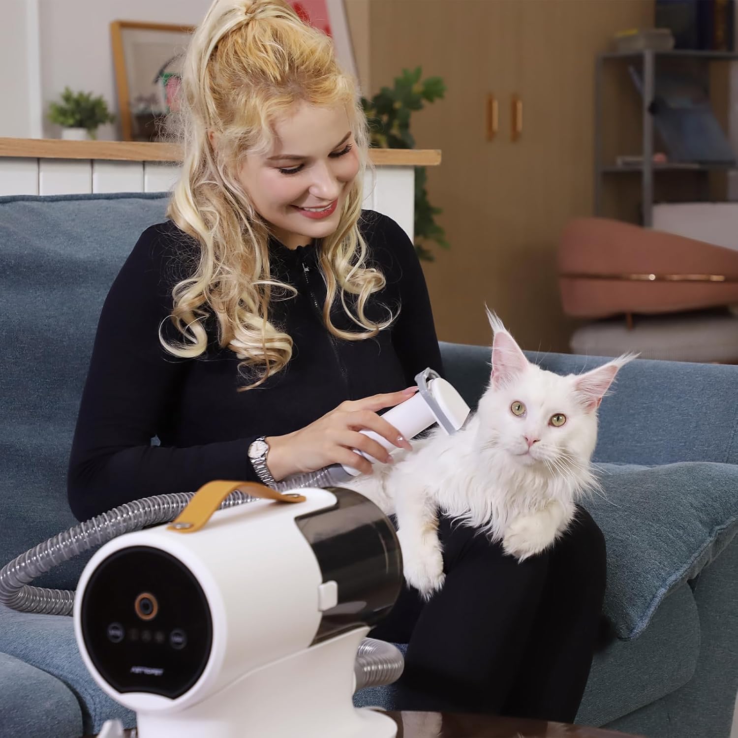 Aspirateur de toilettage pour  - Grooming Kit avis et prix