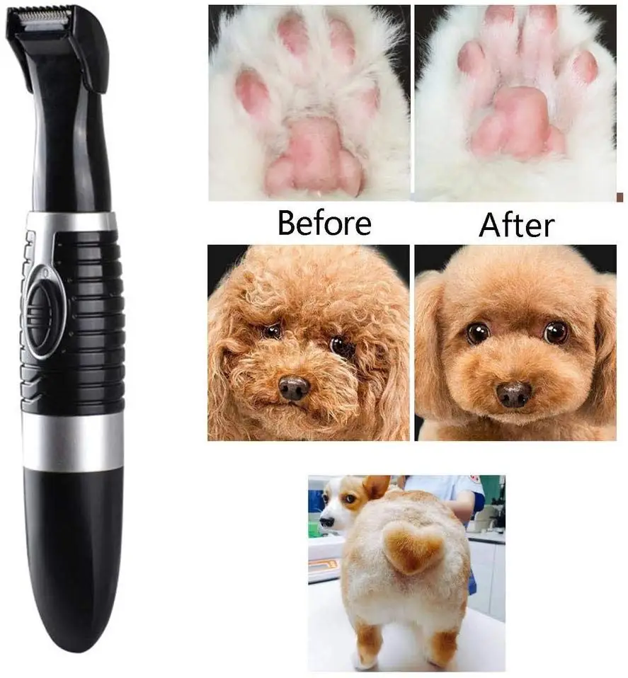 Tondeuse électrique pour anima - Body Trimmer avis et prix