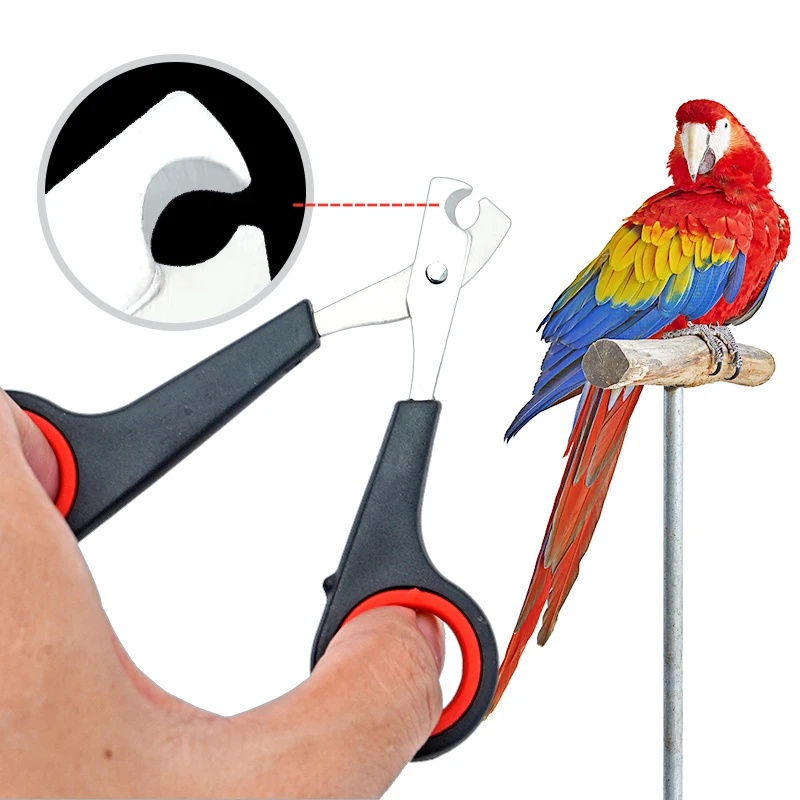 Ciseaux à ongles pour animaux  - Grooming Scissors avis et prix