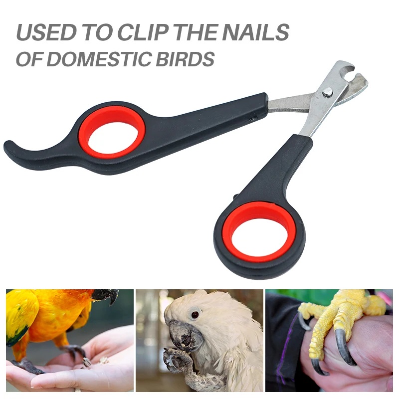 Ciseaux à ongles pour animaux  - Grooming Scissors avis et prix