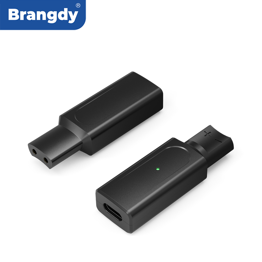 Brangdy 12V Type-C adaptateur  - Beard Trimmer avis et prix